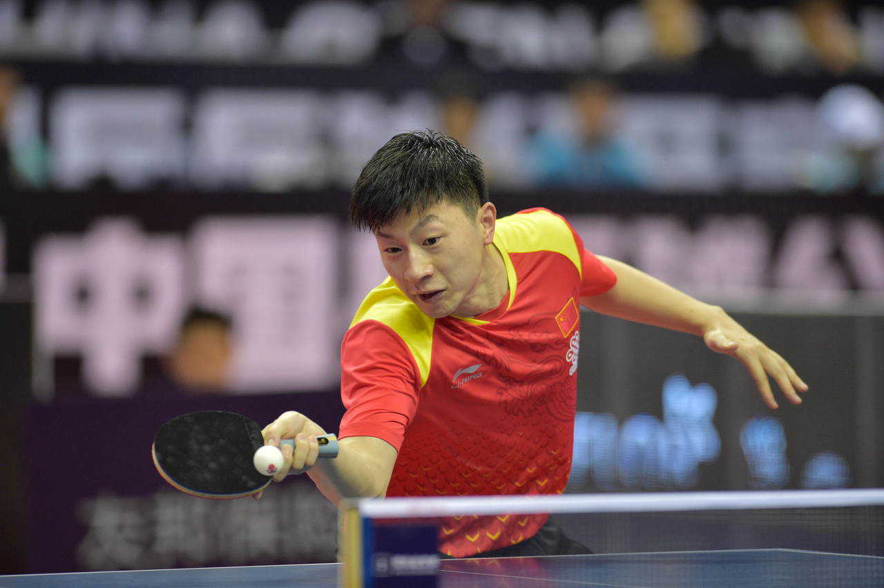 其他类似的 其他类似的